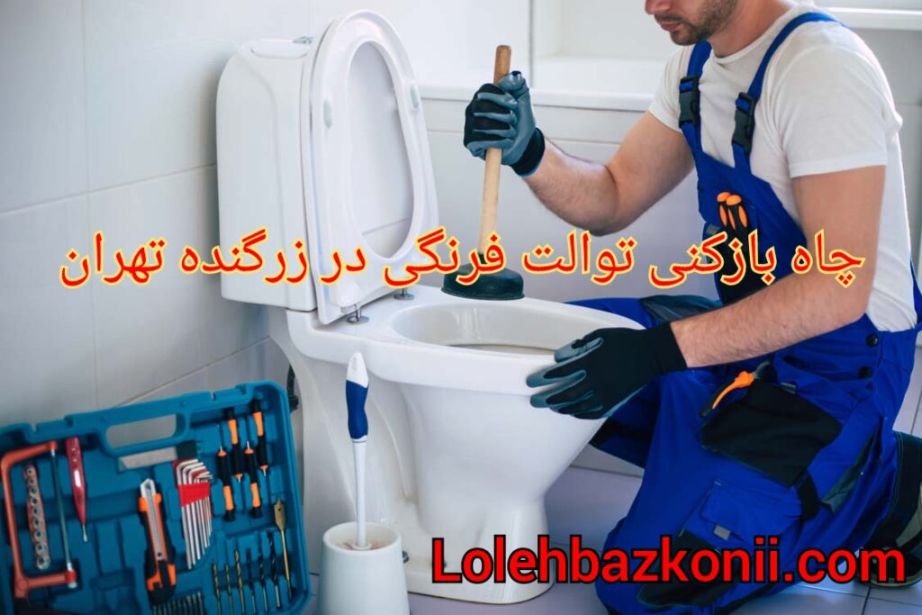 روش های رفع گرفتگی چاه توالت فرنگی